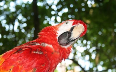 Do You Have What It Takes To Run An Online Business?