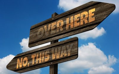 Follow The Trend To Success…