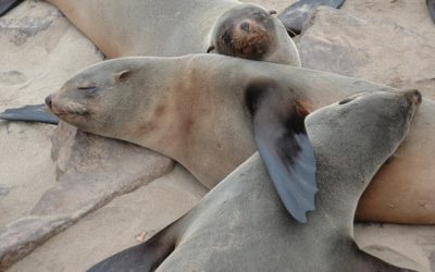 Why Nurturing And Getting Up Close & Personal Are All Important…