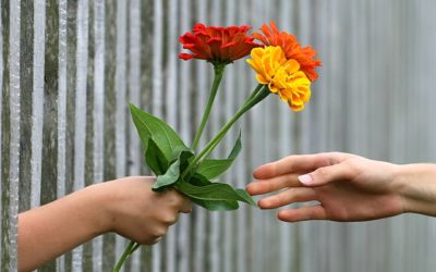 It’s Fabulous Freebie Time…