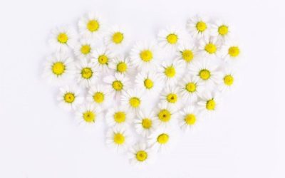 Why Relationships Make For Marketing Success