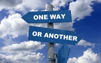 Before You Create Anything…choosing the right product comes first